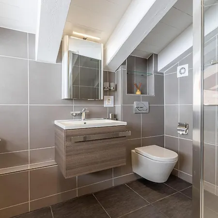 Appaloosa Fabulous&luxe 12 Pers Chalet Nendaz