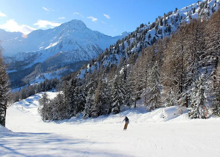 Appaloosa Fabulous & Luxe 12 Pers Chalet