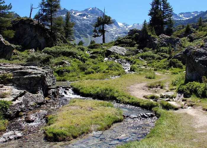 Appaloosa Fabulous & Luxe 12 Pers Chalet