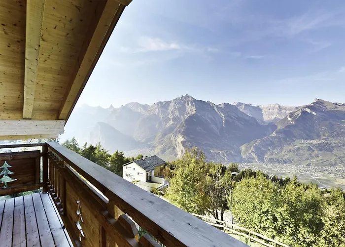 Appaloosa Fabulous & Luxe 12 Pers