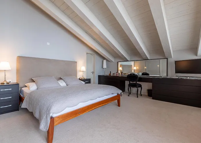 Appaloosa Fabulous & Luxe 12 Pers